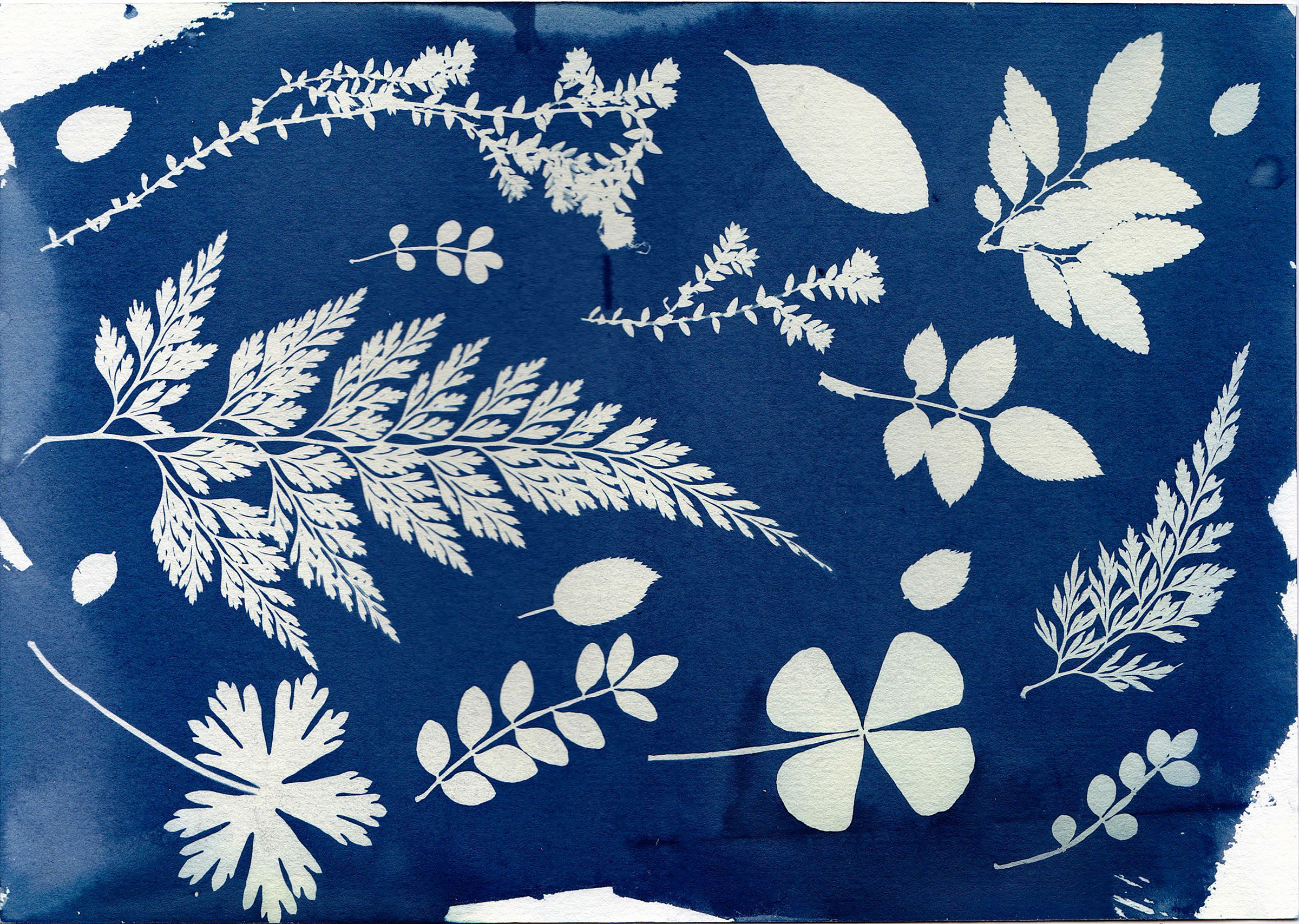botanical printing