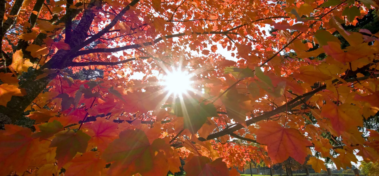autumnal equinox